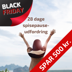 28 Dages Udfordring