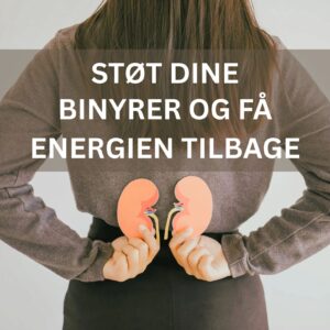 Træt og flad? Støt dine binyrer og få energien tilbage - 22 jan 2026
