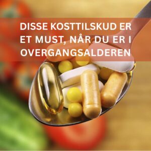 Disse kosttilkud er et must - 04 feb 2026